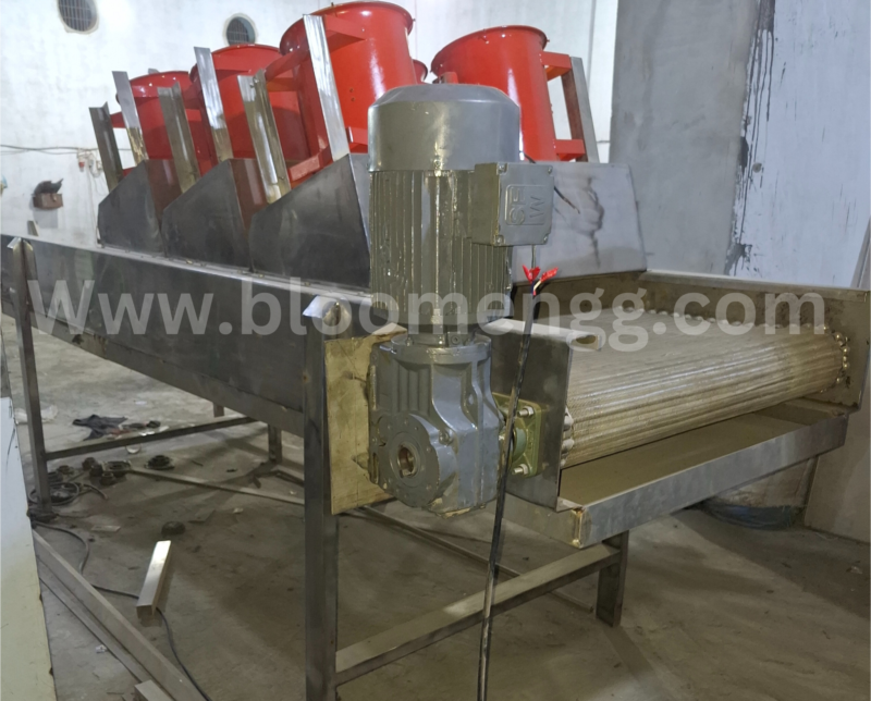 Fruit and Vegetable Conveying Air Dewatering conveyor